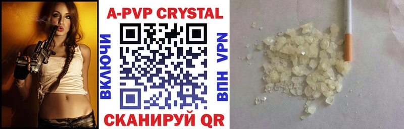 закладки Сыктывкар Alfa_PVP СК КРИС