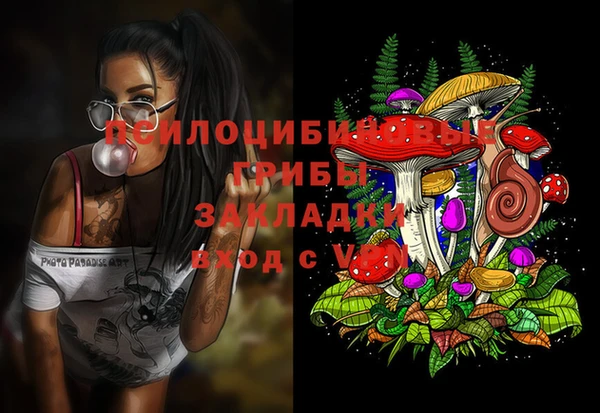 шишки Абаза