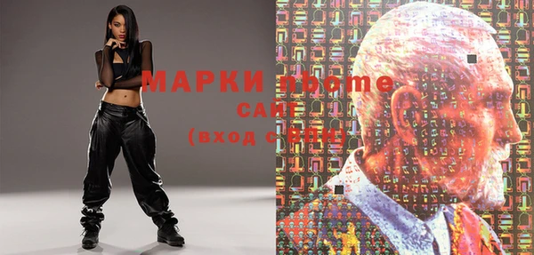 шишки Абаза